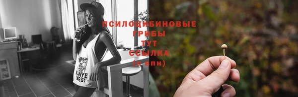 ALPHA-PVP Баксан